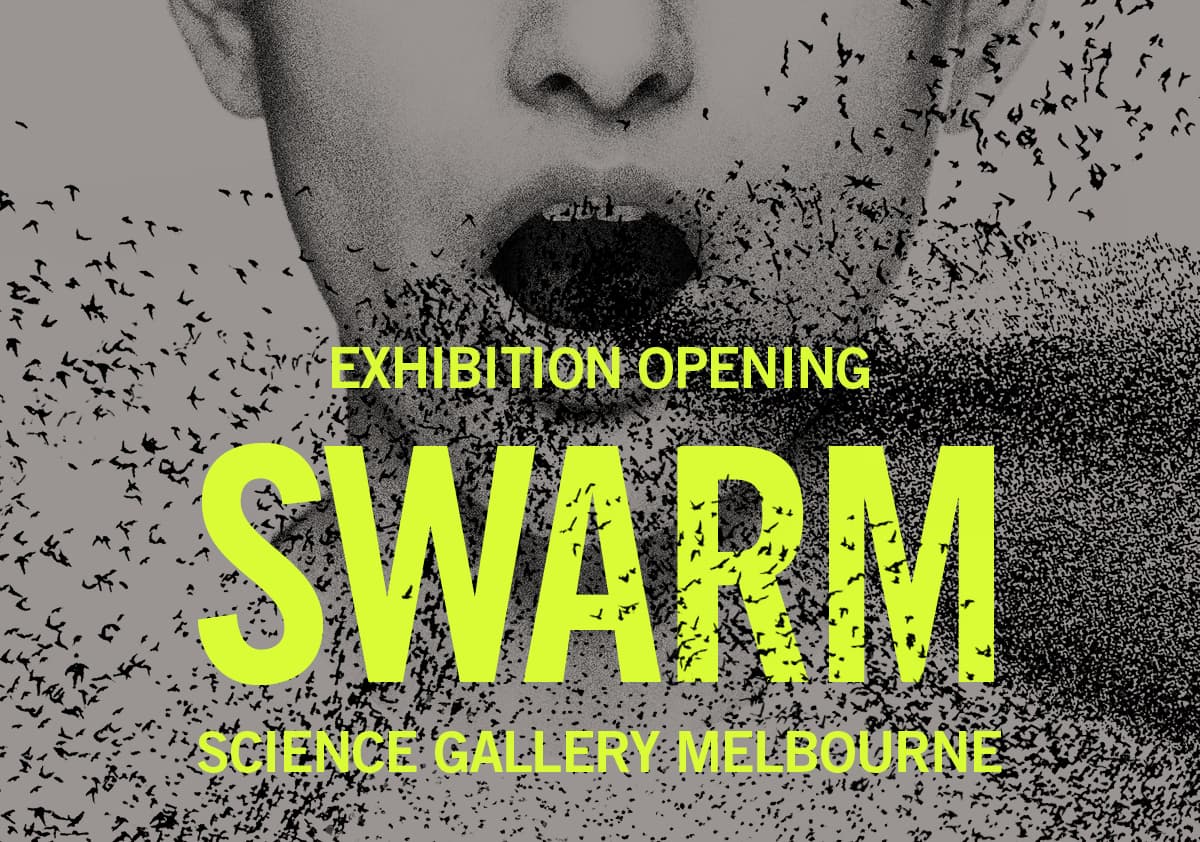 SWARM exhibition logo