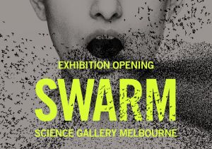 Scrape Elegy now showing in the Science Gallery!