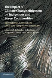 Climate Change Mitigation book cover image