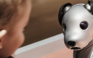 Abusing a robot won’t hurt it, but it could make you a crueller person
