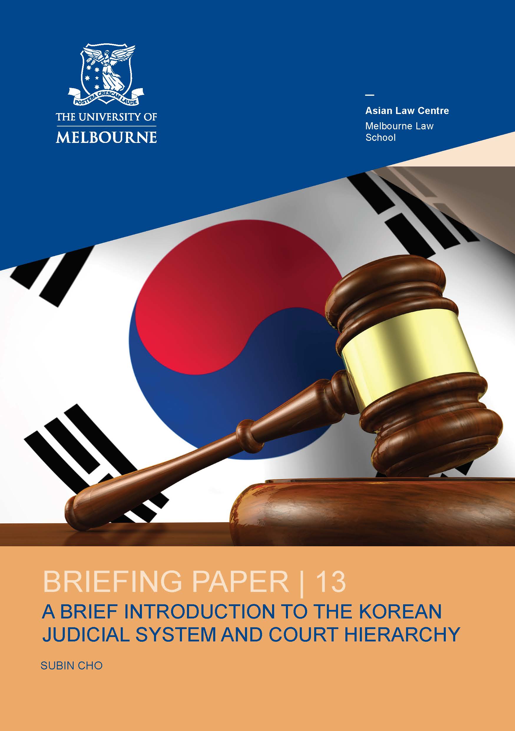 Briefing Paper 13-front cover