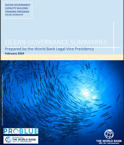 Ocean Governance Summaries