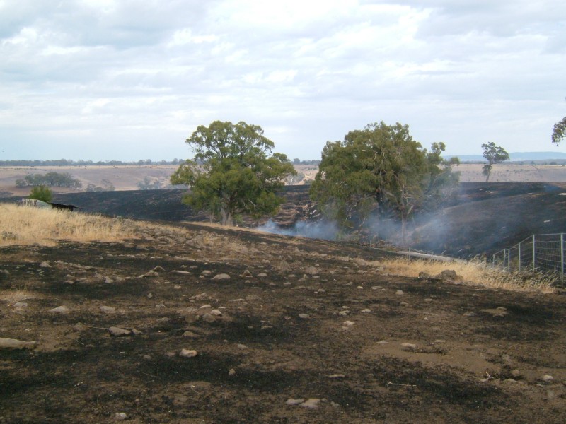 Burnt landscape