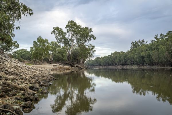 Murray River  Photo: Doug Gimesy Image is single use only (for this story), please contact photographer for any other usage.