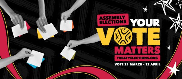 Assembly Elections - your vote matters