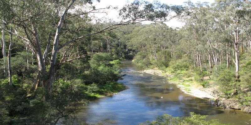 Yarra River