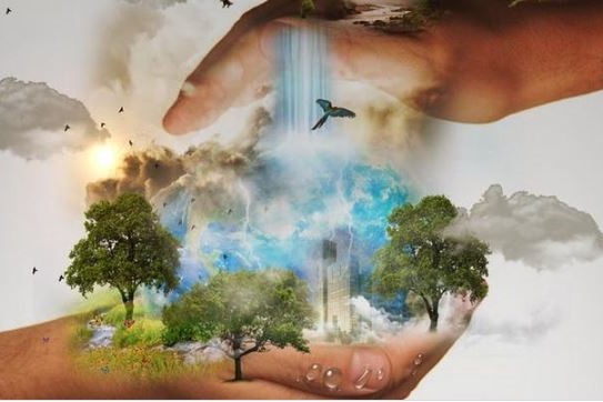 The 6th Frontiers in Environmental Law Colloquium - Call for Papers