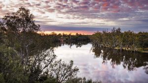 A New Way Forward in the Murray Darling Basin 