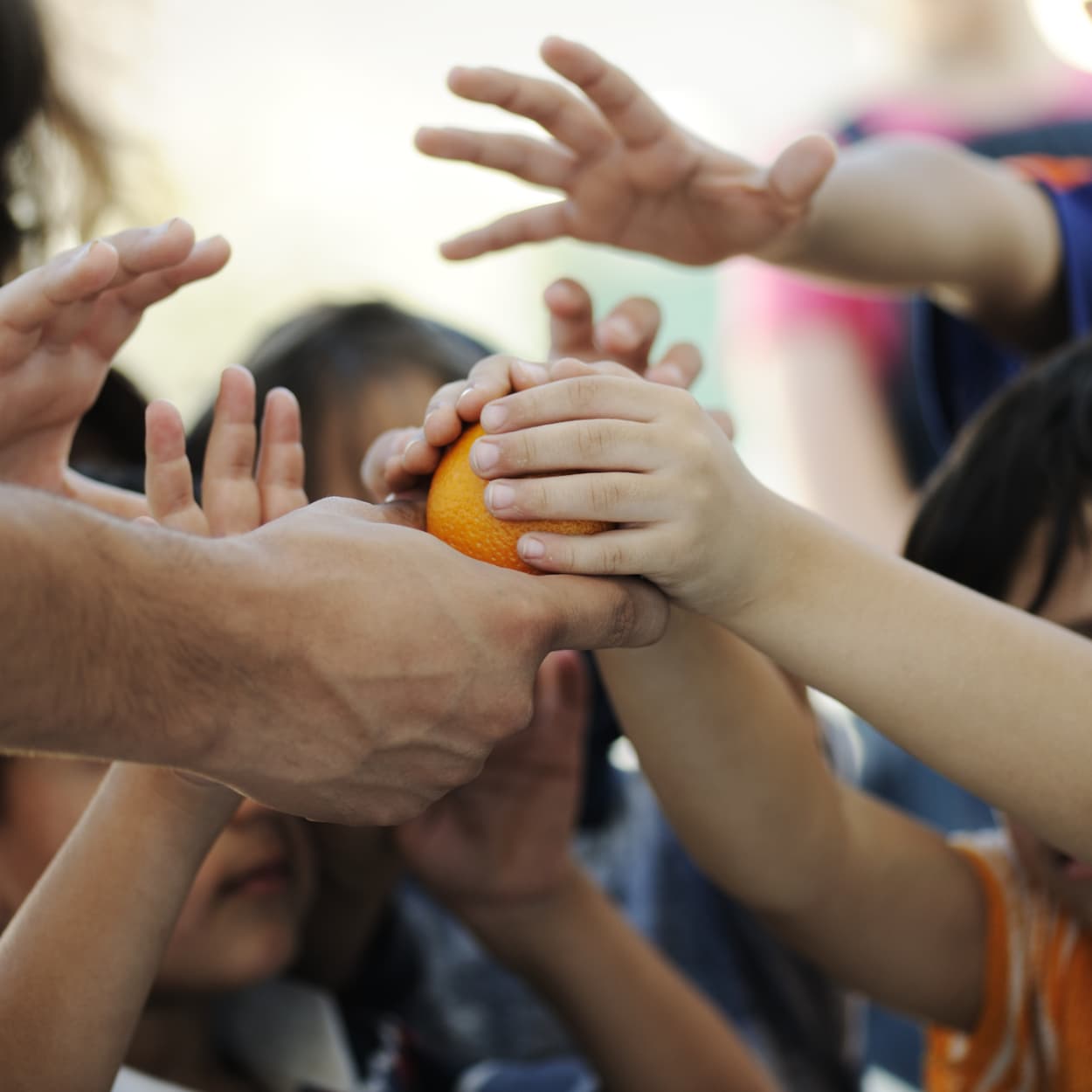 many multicultural human hands holding an orange